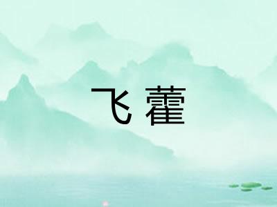 飞藿