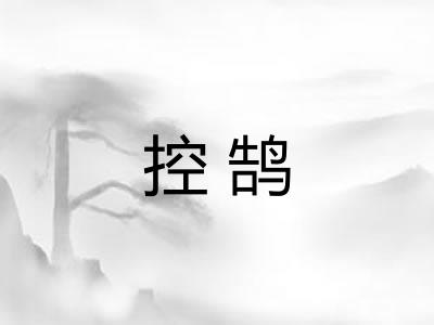 控鹄