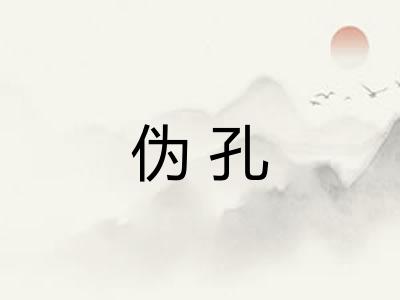 伪孔