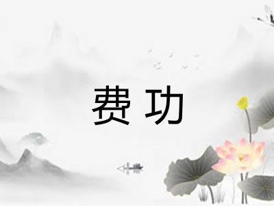 费功
