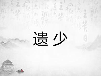 遗少