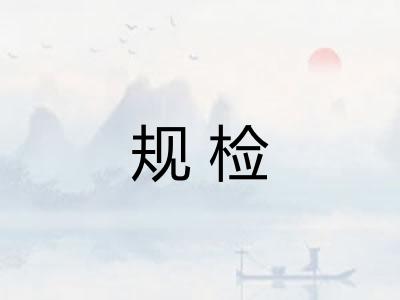 规检