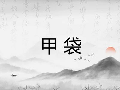 甲袋