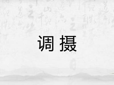 调摄
