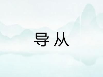 导从
