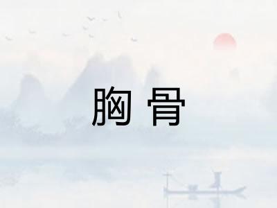 胸骨