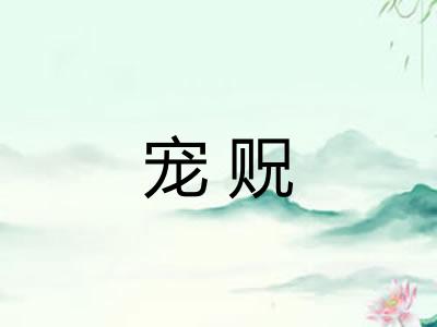 宠贶