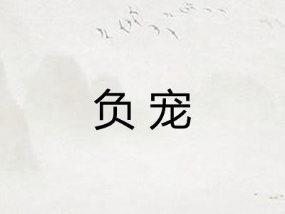 负宠 负宠