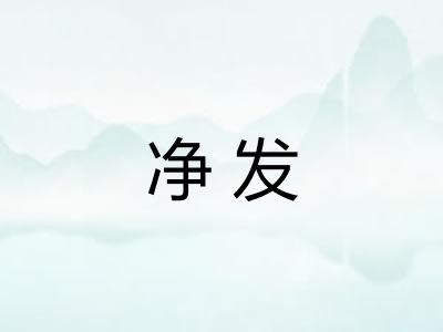 净发