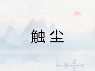 触尘