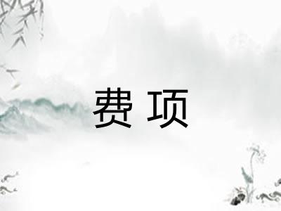 费项