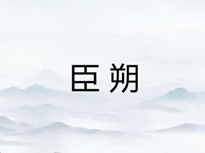 臣朔