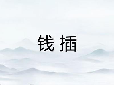 钱插