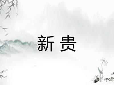 新贵