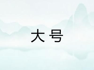 大号