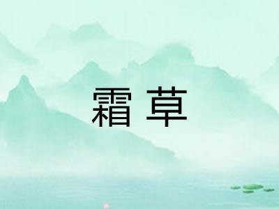 霜草 霜草