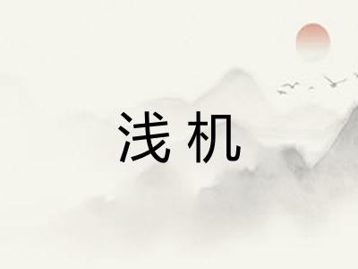 浅机 浅机