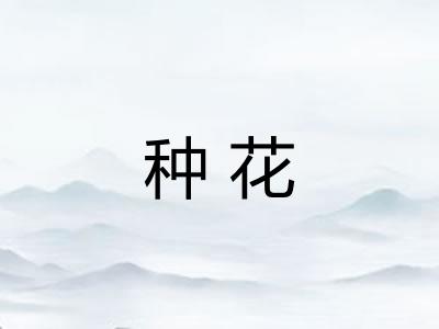 种花 种花