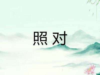 照对
