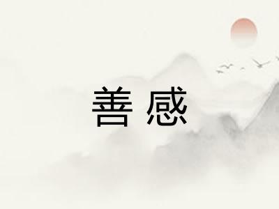 善感