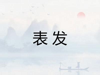 表发