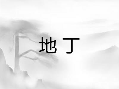 地丁 地丁