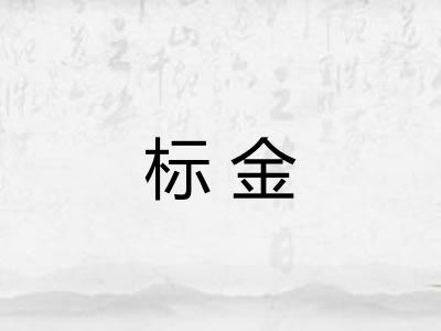 标金 标金