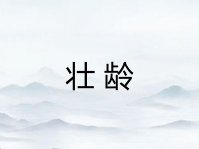 壮龄