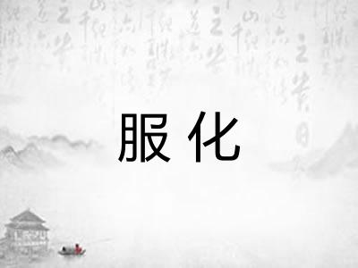 服化