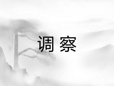 调察