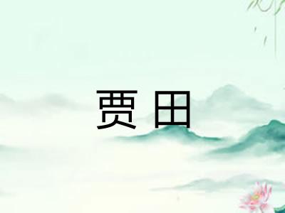 贾田 贾田