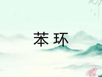 苯环