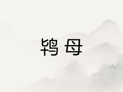 鸨母