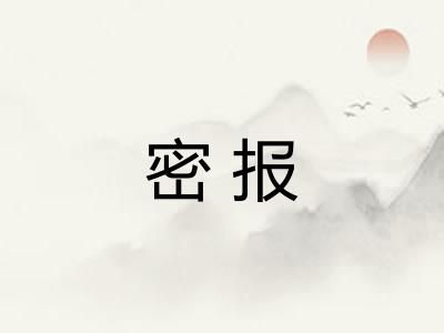密报