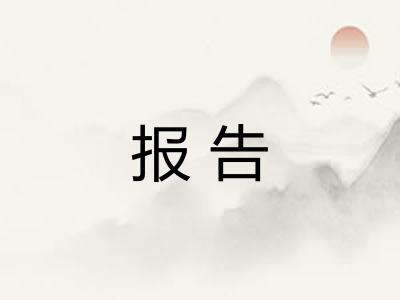 报告