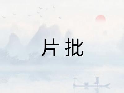 片批