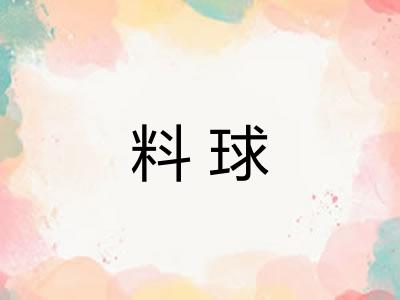 料球