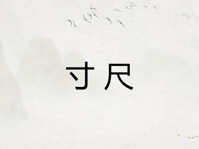 寸尺