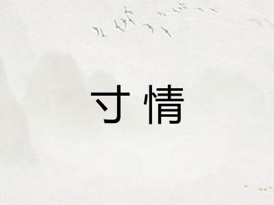 寸情