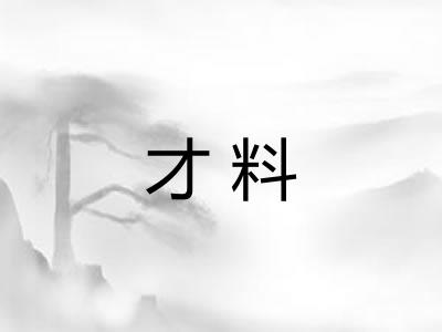 才料