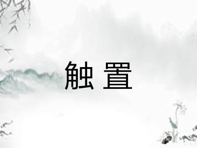 触置