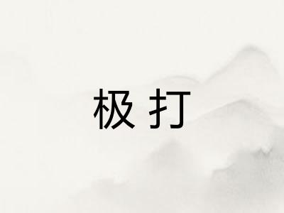 极打