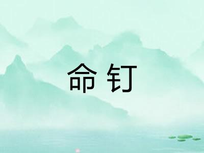 命钉