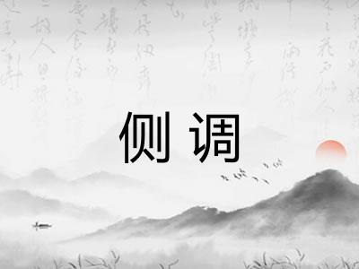 侧调