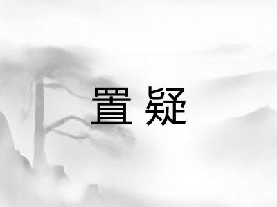 置疑