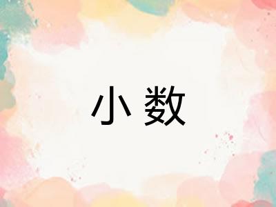 小数