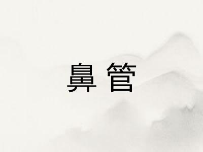 鼻管