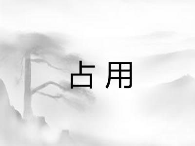 占用