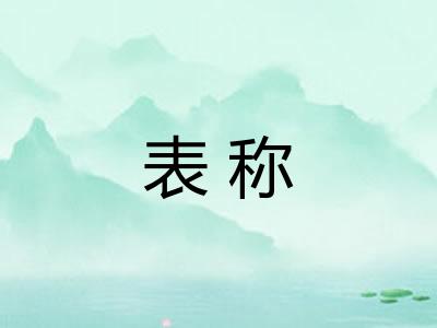 表称