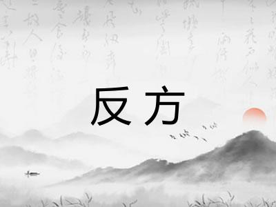 反方